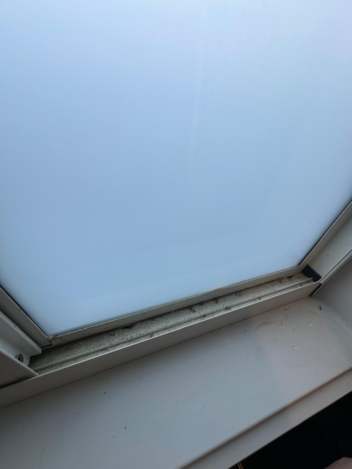 Deep Clean - Window Track before