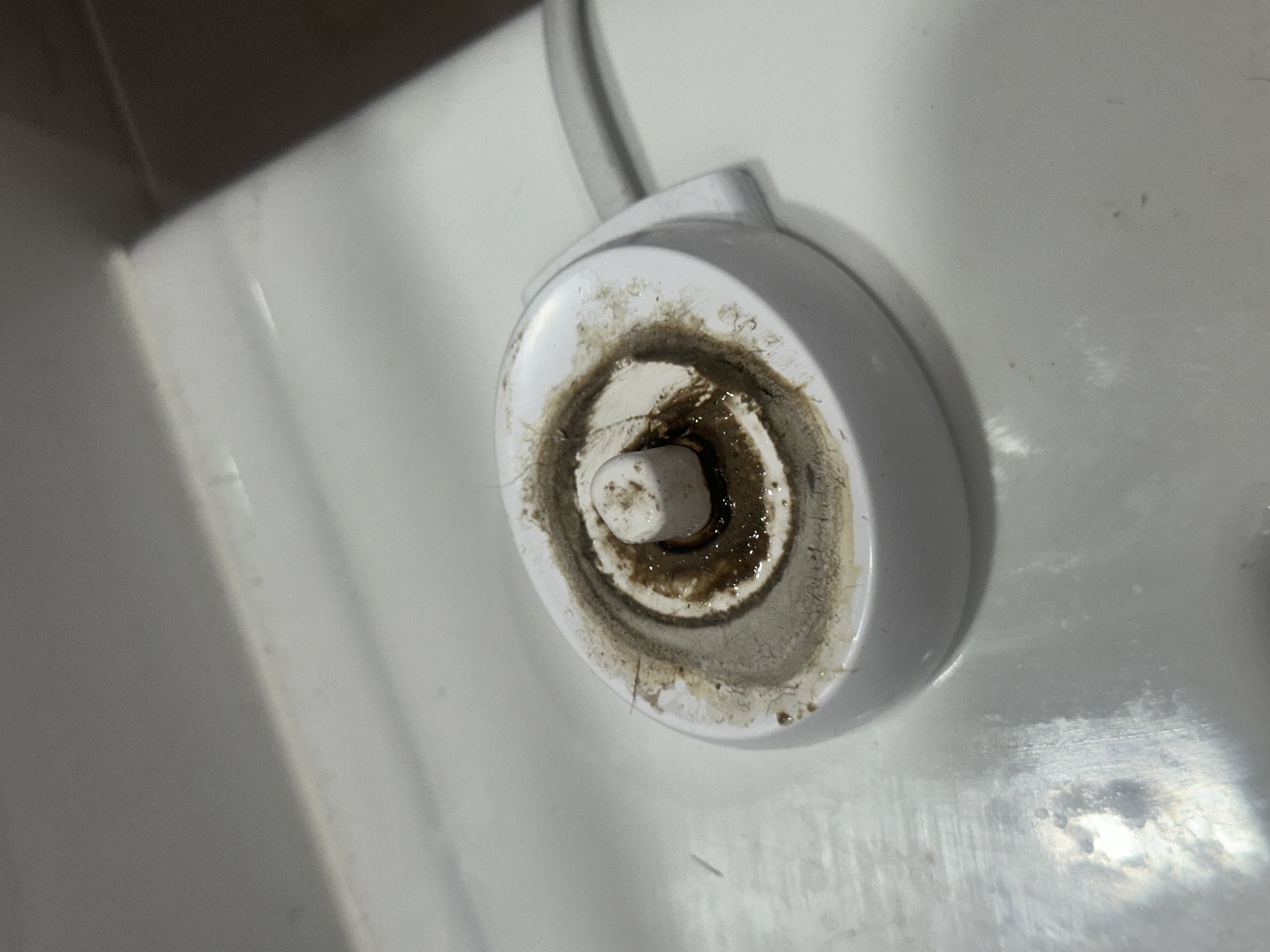 General Cleaning - Electric Toothbrush Charger before